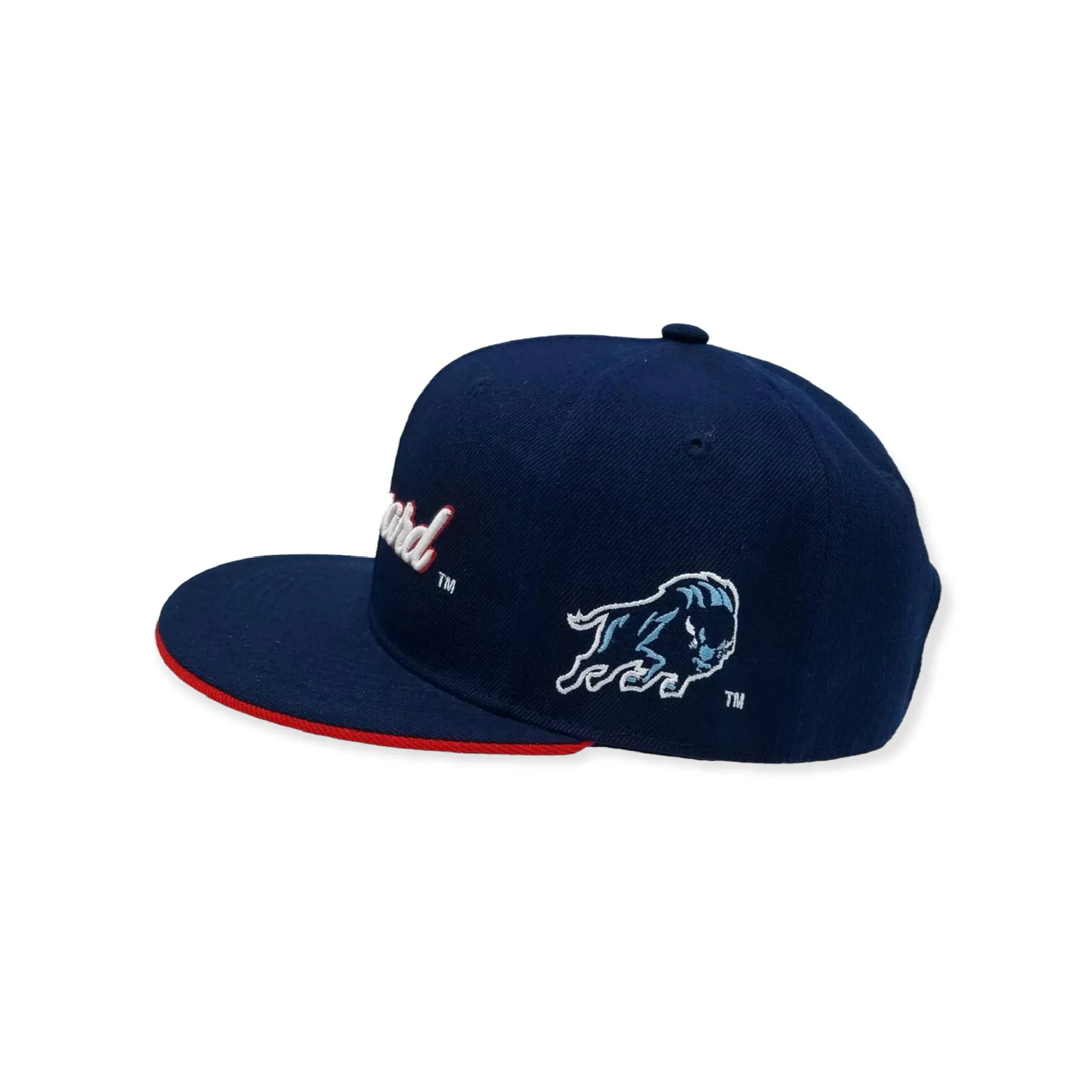 RLGCY: Jackson State Howard Snapback